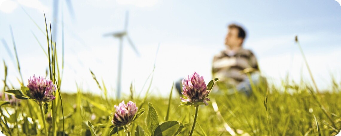 Genehmigungsplaner (m/w/d) im Bereich erneuerbare Energien, 2. Bild